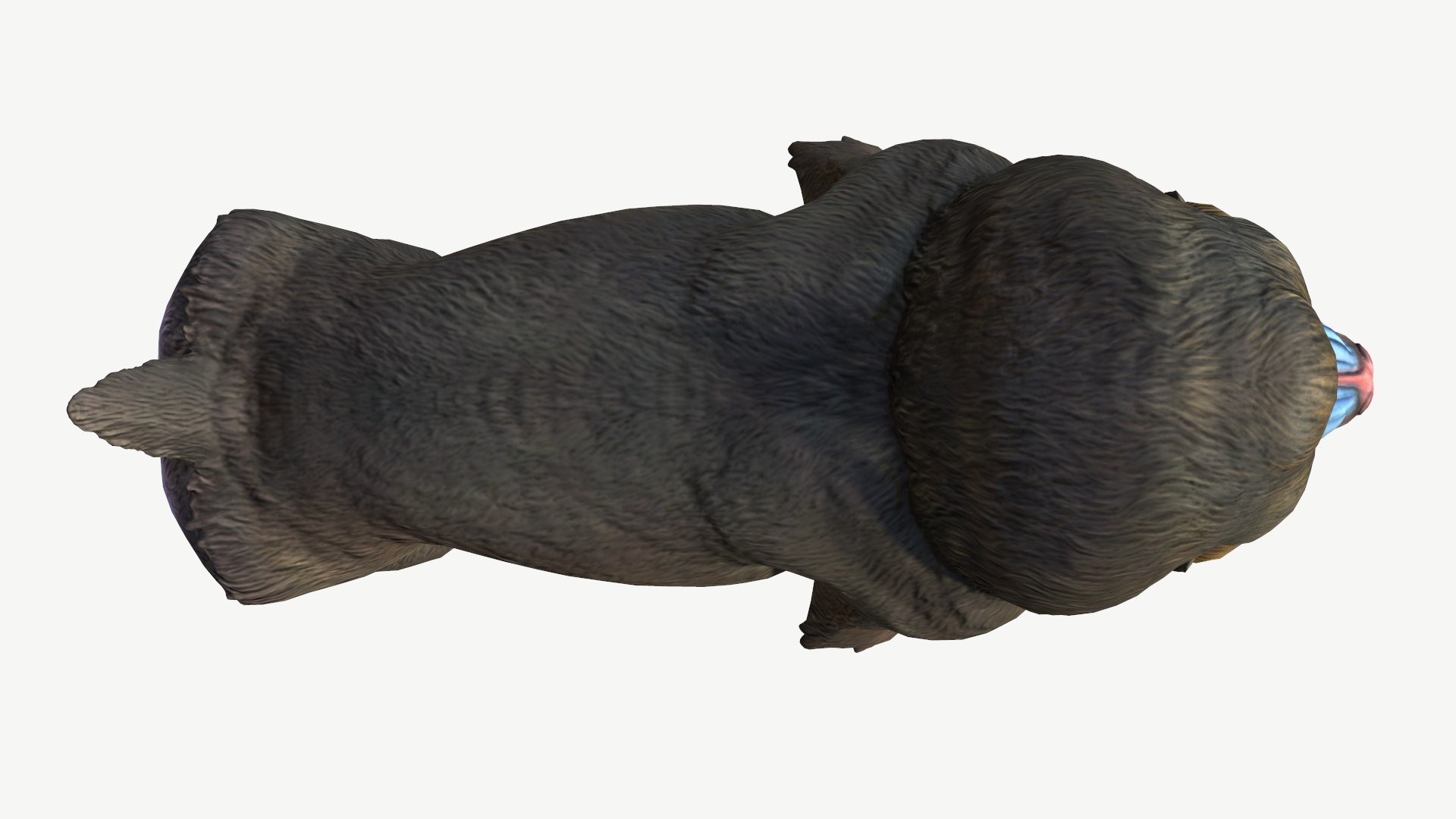 Mandrill model https://p.turbosquid.com/ts-thumb/qn/YjT1tw/YE/5/jpg/1708073855/1920x1080/fit_q87/a7e952f9a705b580660affccc066f292bf35672b/5.jpg