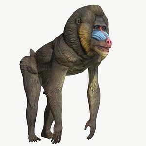 Mandrill