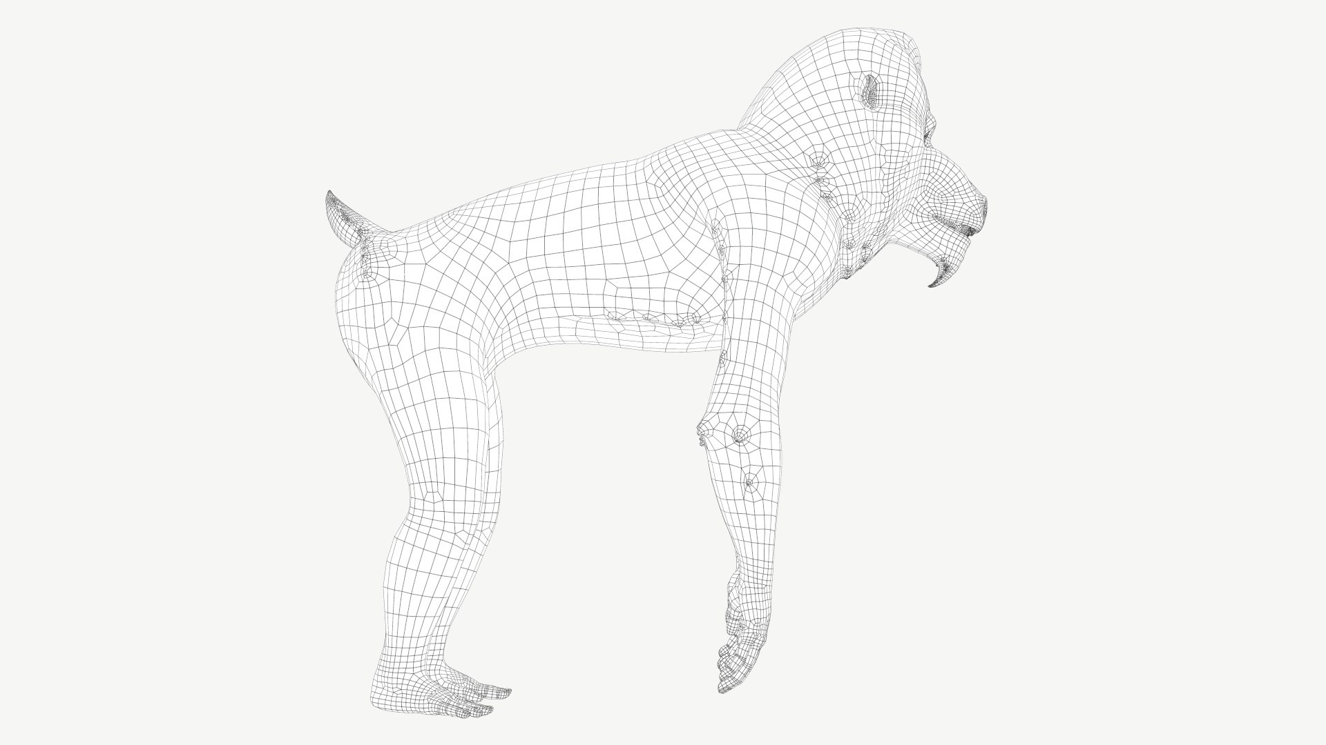 Mandrill model https://p.turbosquid.com/ts-thumb/qn/YjT1tw/iz/2a/jpg/1708073853/1920x1080/fit_q87/703102fc7ae83d670083338990d2368dee0f0347/2a.jpg