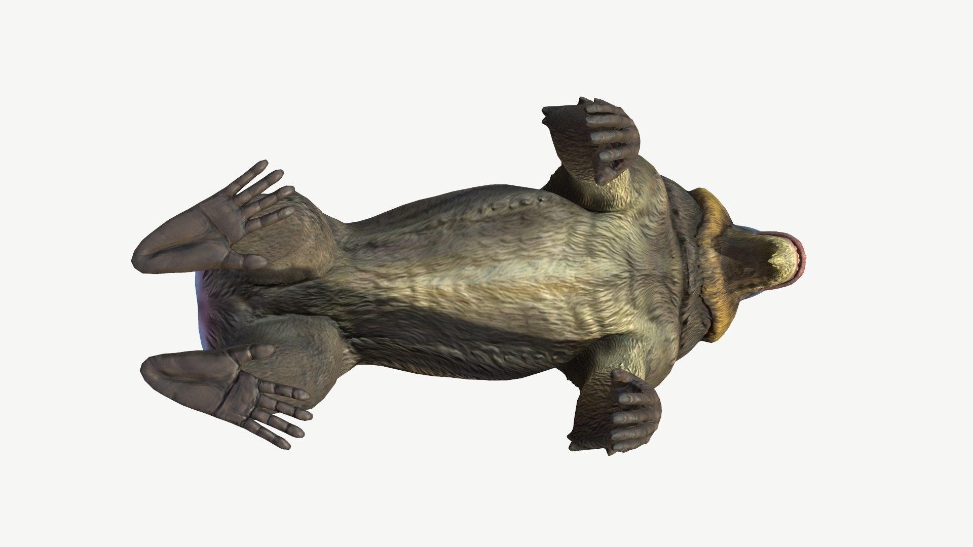 Mandrill model https://p.turbosquid.com/ts-thumb/qn/YjT1tw/pY/7/jpg/1708073857/1920x1080/fit_q87/0a9688e458a985fc9b62b4c7a81e6896002aca12/7.jpg