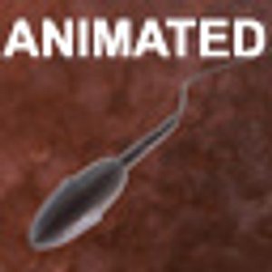 Sperm - animated