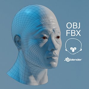 Male Head LowPoly 3D model