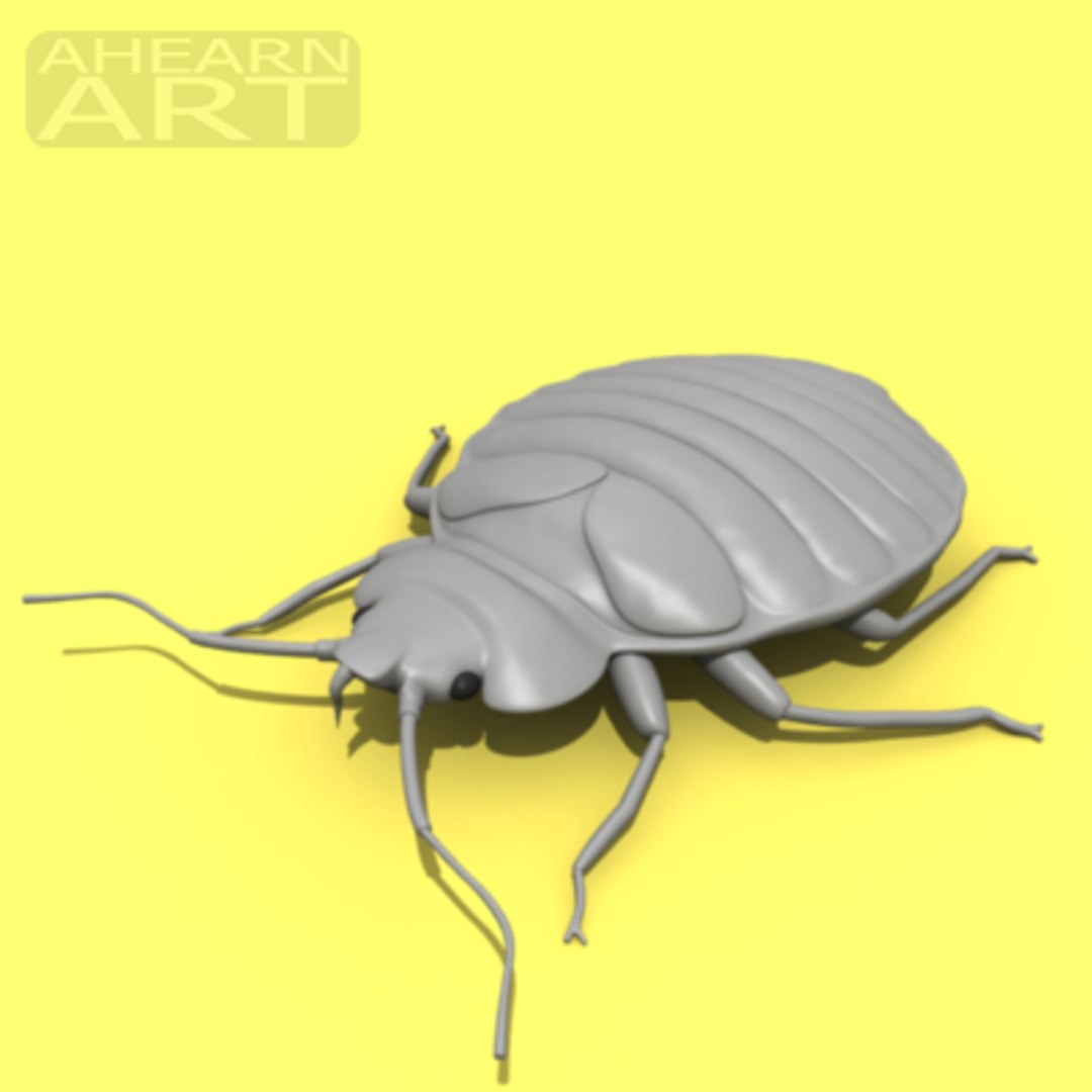 bedbug insect max https://p.turbosquid.com/ts-thumb/qn/lVBqbB/6j4lfM4l/bedbug.1/png/1196000510/1920x1080/fit_q87/0cf16b013fbd89081049fffec76f4e3b6c39013b/bedbug.1.jpg