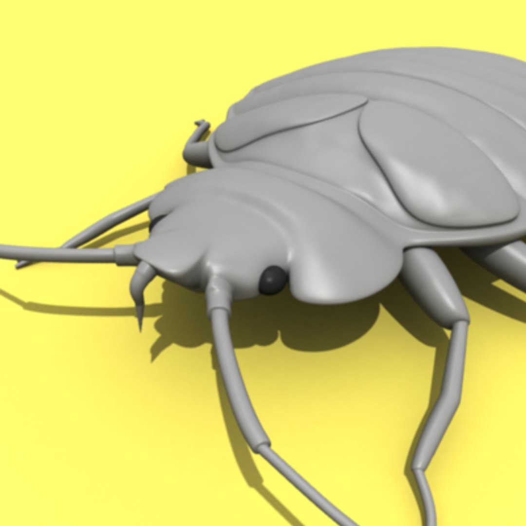 bedbug insect max https://p.turbosquid.com/ts-thumb/qn/lVBqbB/8g5mbt5I/bedbug.2/png/1196000515/1920x1080/fit_q87/1f8af663f3514a28e5fe31fe58a3d6c8a235d7b2/bedbug.2.jpg
