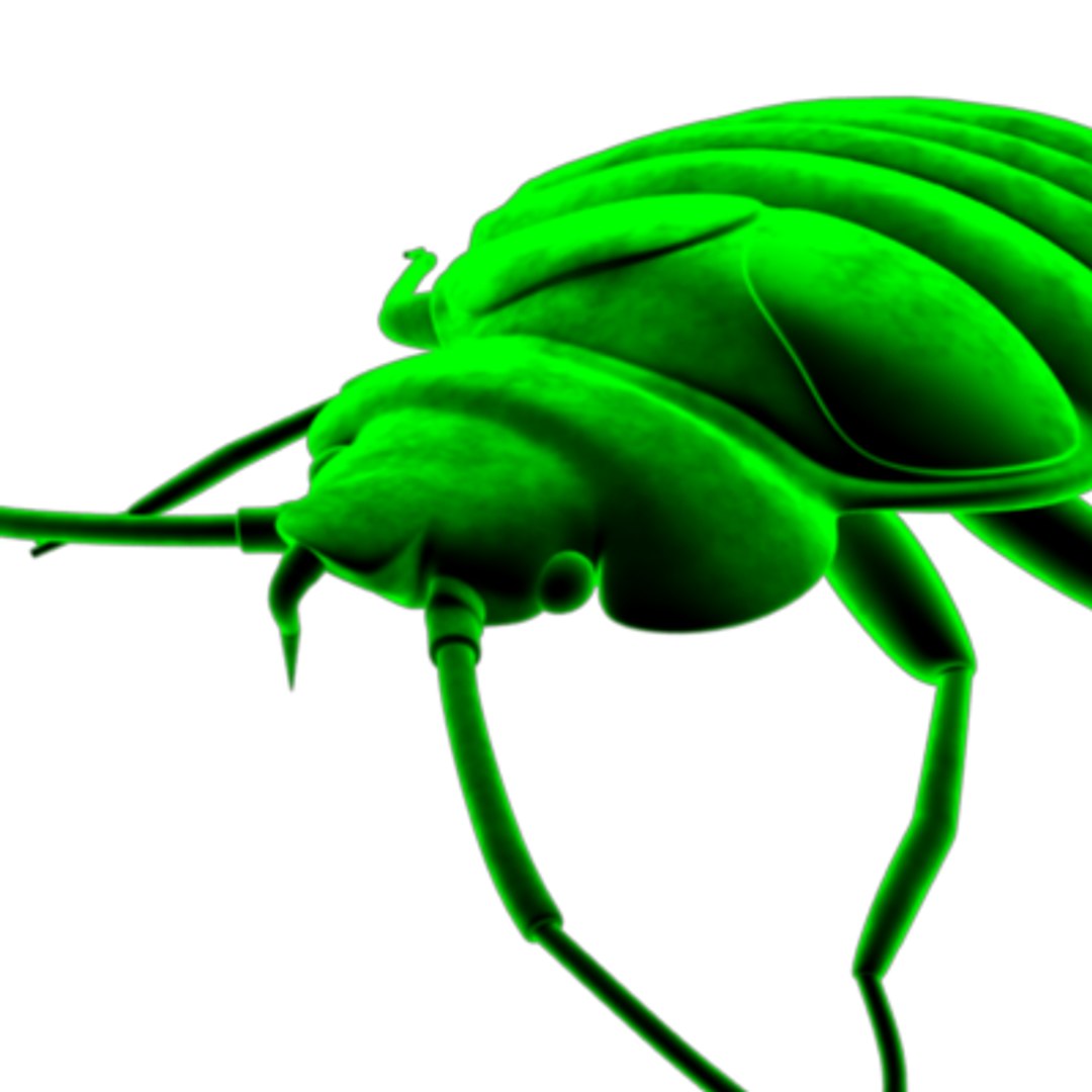 bedbug insect max https://p.turbosquid.com/ts-thumb/qn/lVBqbB/PN5mzU0c/bedbug.8/png/1196000606/1920x1080/fit_q87/79fc9af1a1b7f1397db931d8030200ee3325eab2/bedbug.8.jpg
