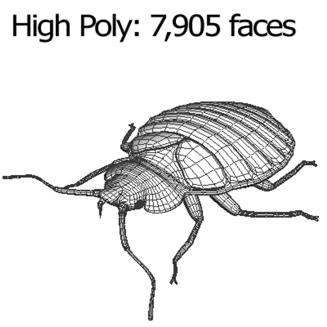 bedbug insect max https://p.turbosquid.com/ts-thumb/qn/lVBqbB/dU0exm5S/bedbugwire2/png/1195996056/1920x1080/fit_q87/2dd4f2440c9e789e07e2cec714d459e3acac9a1d/bedbugwire2.jpg