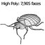 Bedbug