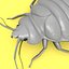Bedbug