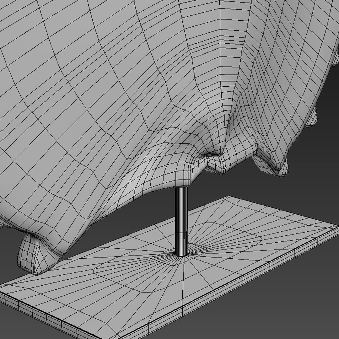 Freshwater turtle shell 3D model - TurboSquid 1379552
