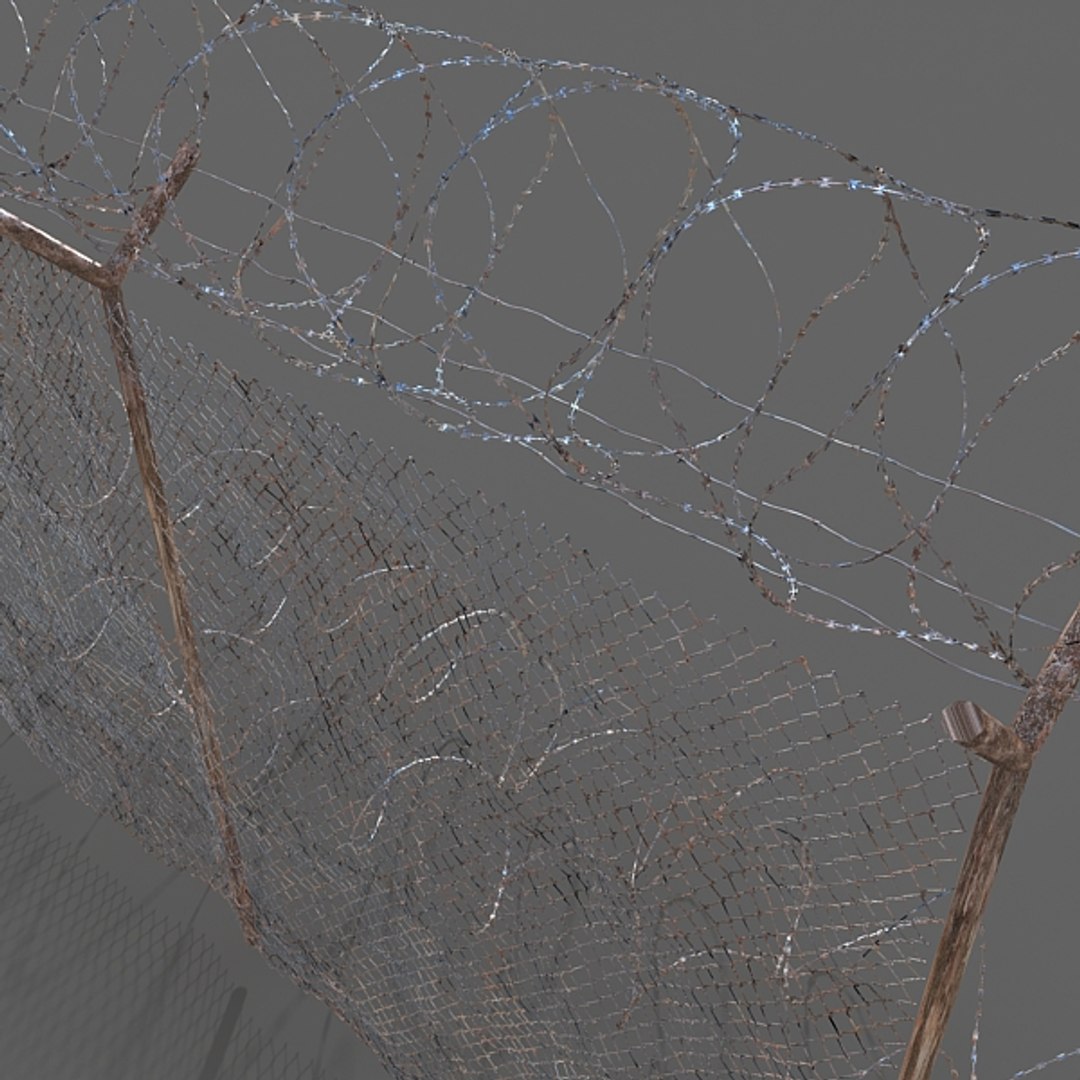 3d Barb Wires Model