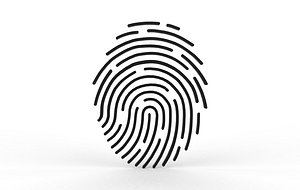3D fingerprint icon 3D model model