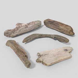 Driftwood Collection 01
