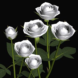 rose white 3d 3ds