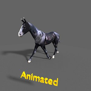 3d model black stallion