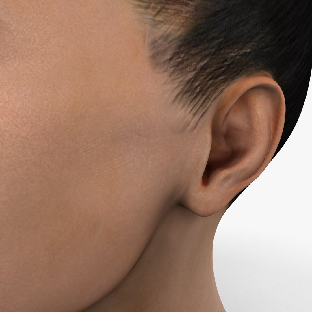 female head 3d model https://p.turbosquid.com/ts-thumb/qo/iOsTeX/88osUhOE/femalehead_15/jpg/1380317066/1920x1080/fit_q87/39ded6c1e70ba65b781acaa6577e2a148cb6dad0/femalehead_15.jpg