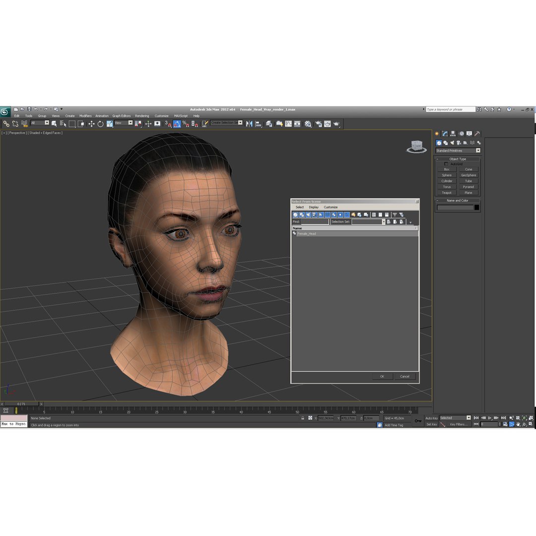 female head 3d model https://p.turbosquid.com/ts-thumb/qo/iOsTeX/EyCwxt0Y/femalehead_5/jpg/1380317047/1920x1080/fit_q87/ff3e2c0daf809665ee52f6e851d84e1b396638d6/femalehead_5.jpg
