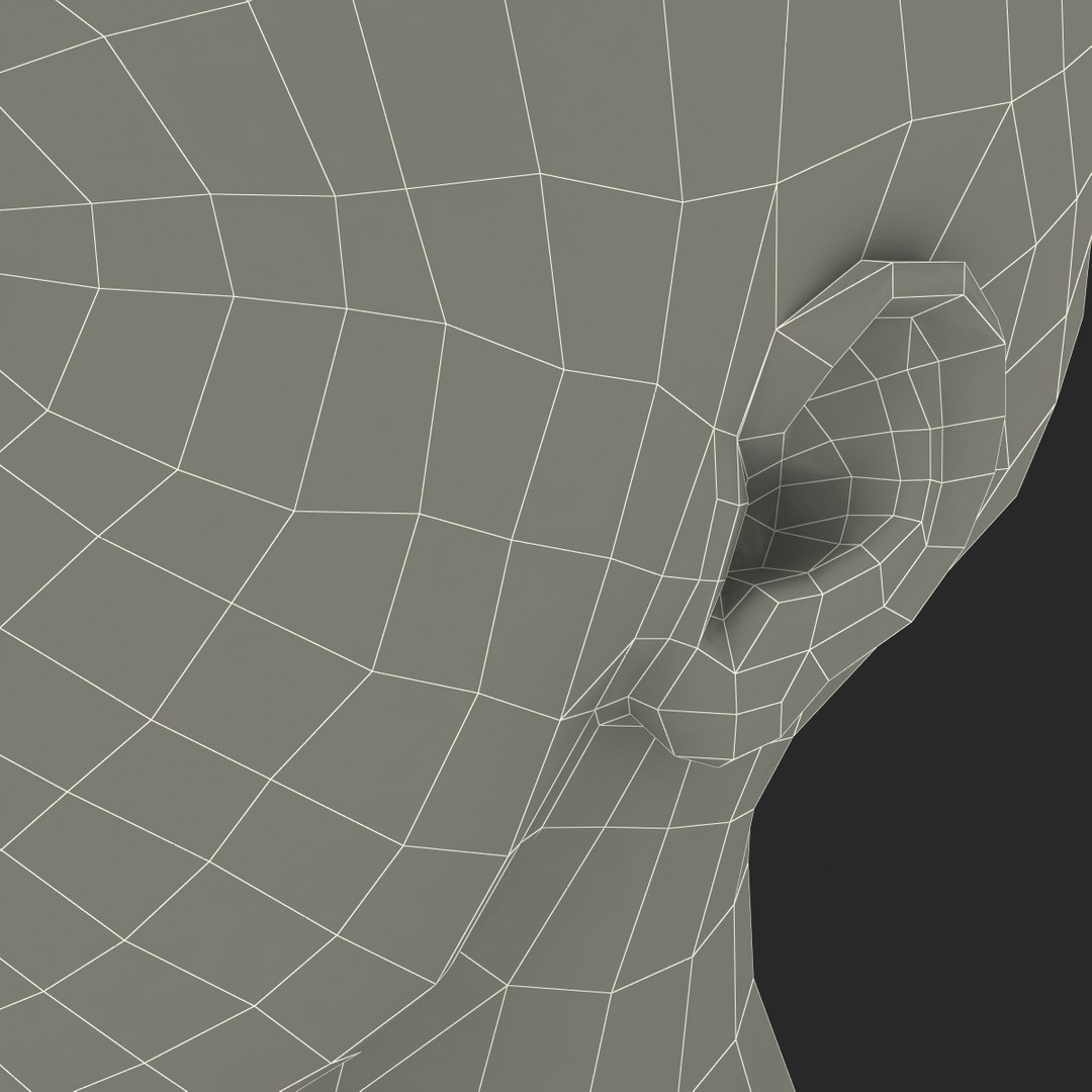 female head 3d model https://p.turbosquid.com/ts-thumb/qo/iOsTeX/XDdO77La/femalehead_25/jpg/1380317095/1920x1080/fit_q87/61862618fa4a8d3aa74b96039c2c2ef7bc8c9101/femalehead_25.jpg