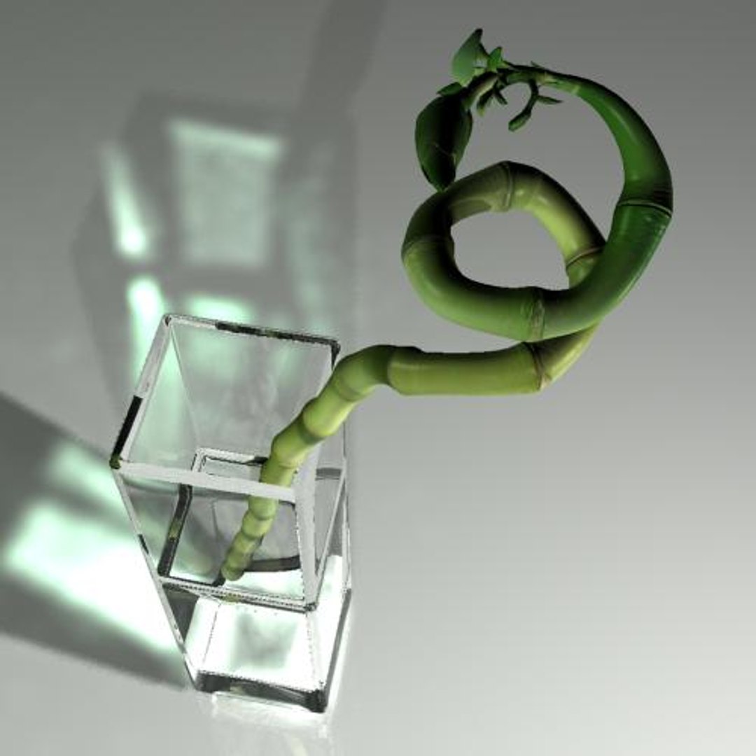 hight bamboo 3d max https://p.turbosquid.com/ts-thumb/qo/jaFAQ7/0HHBadDC/bamboo5/jpg/1160234136/1920x1080/fit_q87/71e7dc3058865909cc03868c3952fa8d2a39bd65/bamboo5.jpg