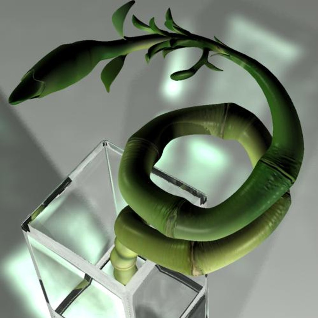 hight bamboo 3d max https://p.turbosquid.com/ts-thumb/qo/jaFAQ7/A1X9AwY9/bamboo9/jpg/1160234187/1920x1080/fit_q87/99282b2c957e3f6820808282695341839679b090/bamboo9.jpg