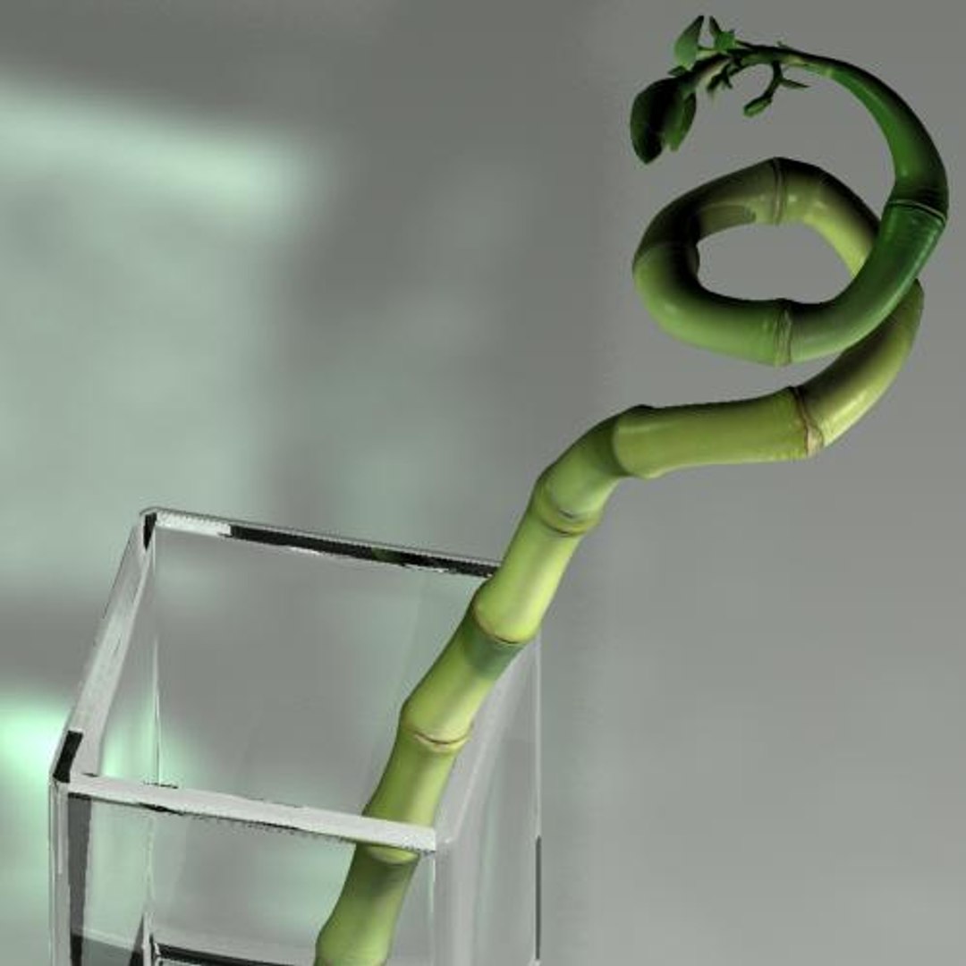 hight bamboo 3d max https://p.turbosquid.com/ts-thumb/qo/jaFAQ7/DkfzjUYf/bamboo4/jpg/1160234125/1920x1080/fit_q87/d3674f84ff48420c9d60c75552f7546c3787e4aa/bamboo4.jpg