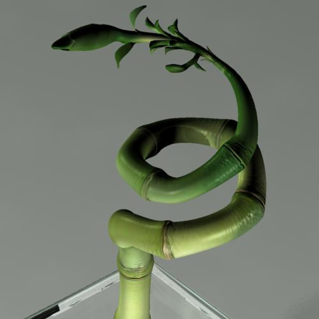 hight bamboo 3d max https://p.turbosquid.com/ts-thumb/qo/jaFAQ7/GFwow0eo/bamboo6/jpg/1160234147/1920x1080/fit_q87/3adcaff7a4f7bd6c06e32f06fc6191d302f7ae04/bamboo6.jpg