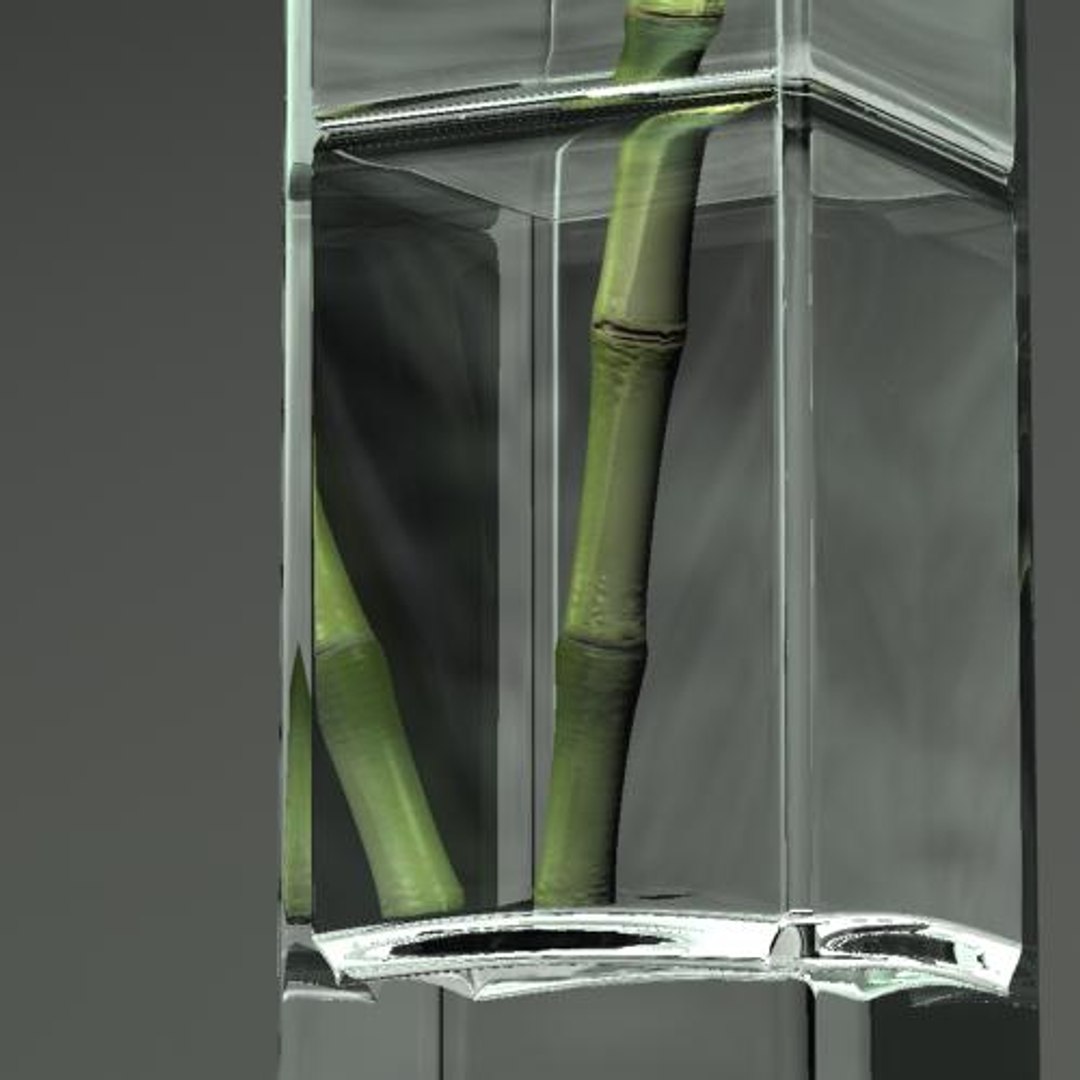hight bamboo 3d max https://p.turbosquid.com/ts-thumb/qo/jaFAQ7/NaBykHFl/bamboo92/jpg/1160234382/1920x1080/fit_q87/135e2bbe22569b9662543ec3a9280976c905185b/bamboo92.jpg