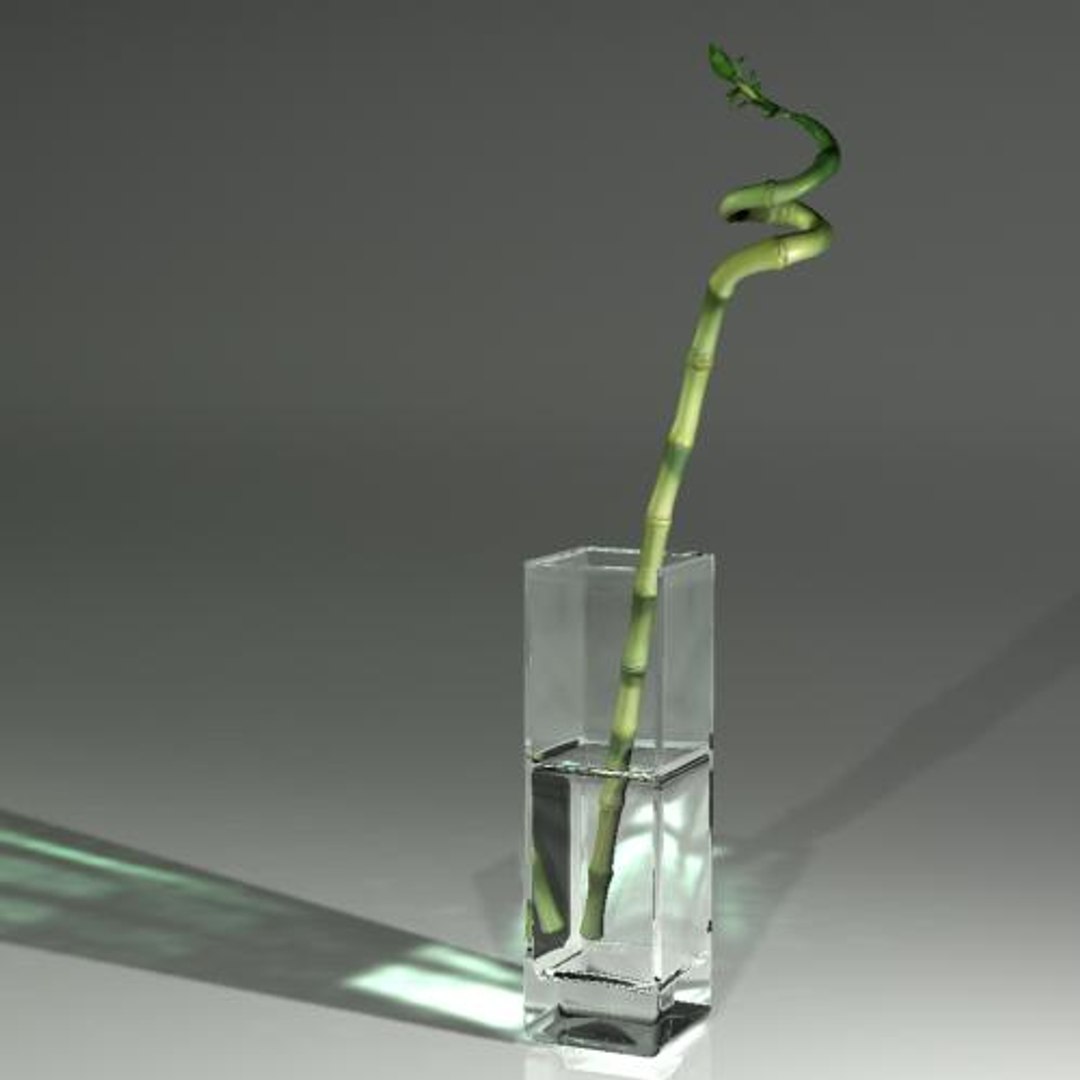 hight bamboo 3d max https://p.turbosquid.com/ts-thumb/qo/jaFAQ7/S4WUtorT/bamboo2/jpg/1160234102/1920x1080/fit_q87/d7bedd994be57683530fce3318fabe456a9ab611/bamboo2.jpg
