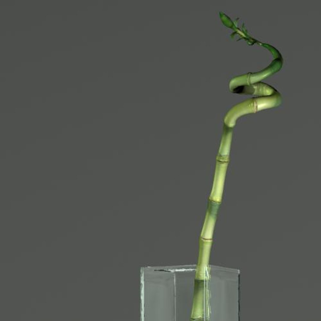 hight bamboo 3d max https://p.turbosquid.com/ts-thumb/qo/jaFAQ7/T8bxlnal/bamboo/jpg/1160234079/1920x1080/fit_q87/11d85768d9ae8920ed0f1febb374034719455744/bamboo.jpg