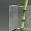 bamboo