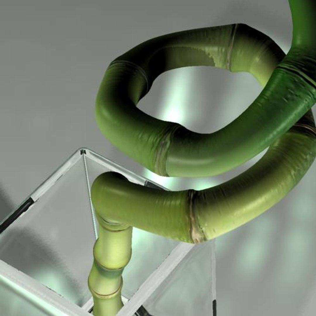 hight bamboo 3d max https://p.turbosquid.com/ts-thumb/qo/jaFAQ7/YCGveUFw/bamboo1/jpg/1160234091/1920x1080/fit_q87/95bc282c2958c16c2abbcffb311115e5d45115f0/bamboo1.jpg