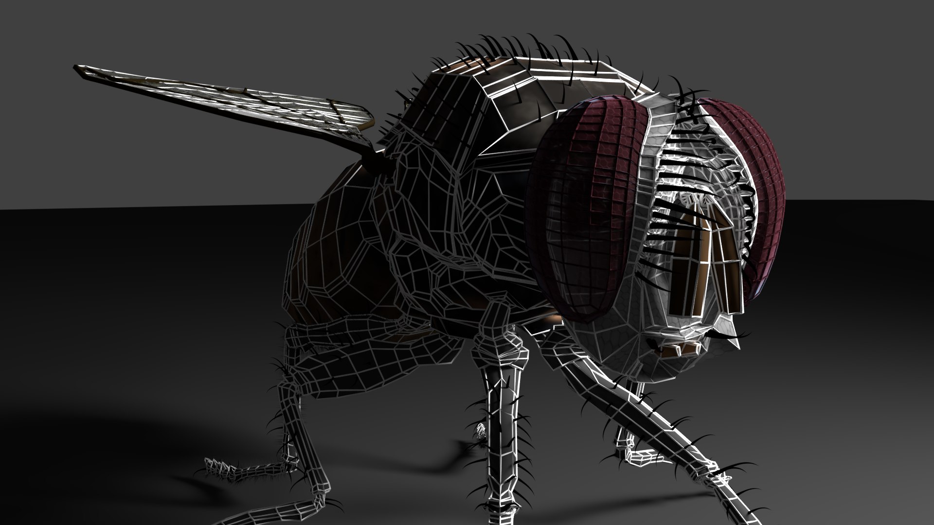 fly 3D model https://p.turbosquid.com/ts-thumb/qo/mwIrDM/sm4e0qel/render07/png/1537476309/1920x1080/fit_q87/adf37526645b417a0eaf6f1d8797513b80535f89/render07.jpg