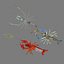 3D model shrimp animal crustacean
