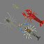 3D model shrimp animal crustacean