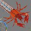 3D model shrimp animal crustacean
