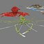 3D model shrimp animal crustacean