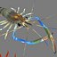 3D model shrimp animal crustacean