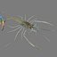 3D model shrimp animal crustacean