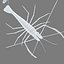 3D model shrimp animal crustacean