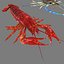 3D model shrimp animal crustacean