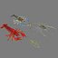 3D model shrimp animal crustacean
