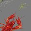 3D model shrimp animal crustacean