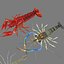 3D model shrimp animal crustacean