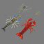 3D model shrimp animal crustacean