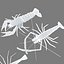 3D model shrimp animal crustacean