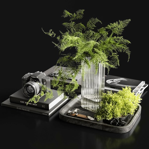 3d fantasy camera steampunk model