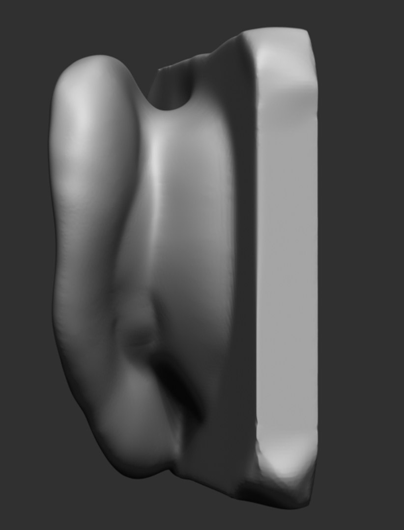 3d Ear Ztl Stl Model