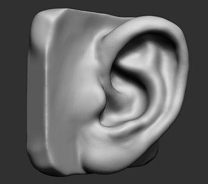 3d ear ztl stl model