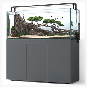 Aquascape aquarium Nature 3D model