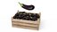 Aubergine Box