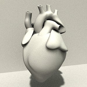 heart 3d model